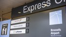 20120322_star-bru_111111.jpg
