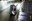 20120322_star-bru_151517.jpg