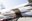 20120323_star-bru_110141.jpg