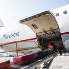 20120323_star-bru_110300.jpg