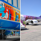 SN, MS, TK: special liveries